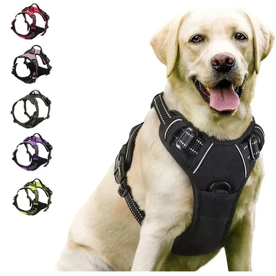 Dog Collars Harness Big Vests