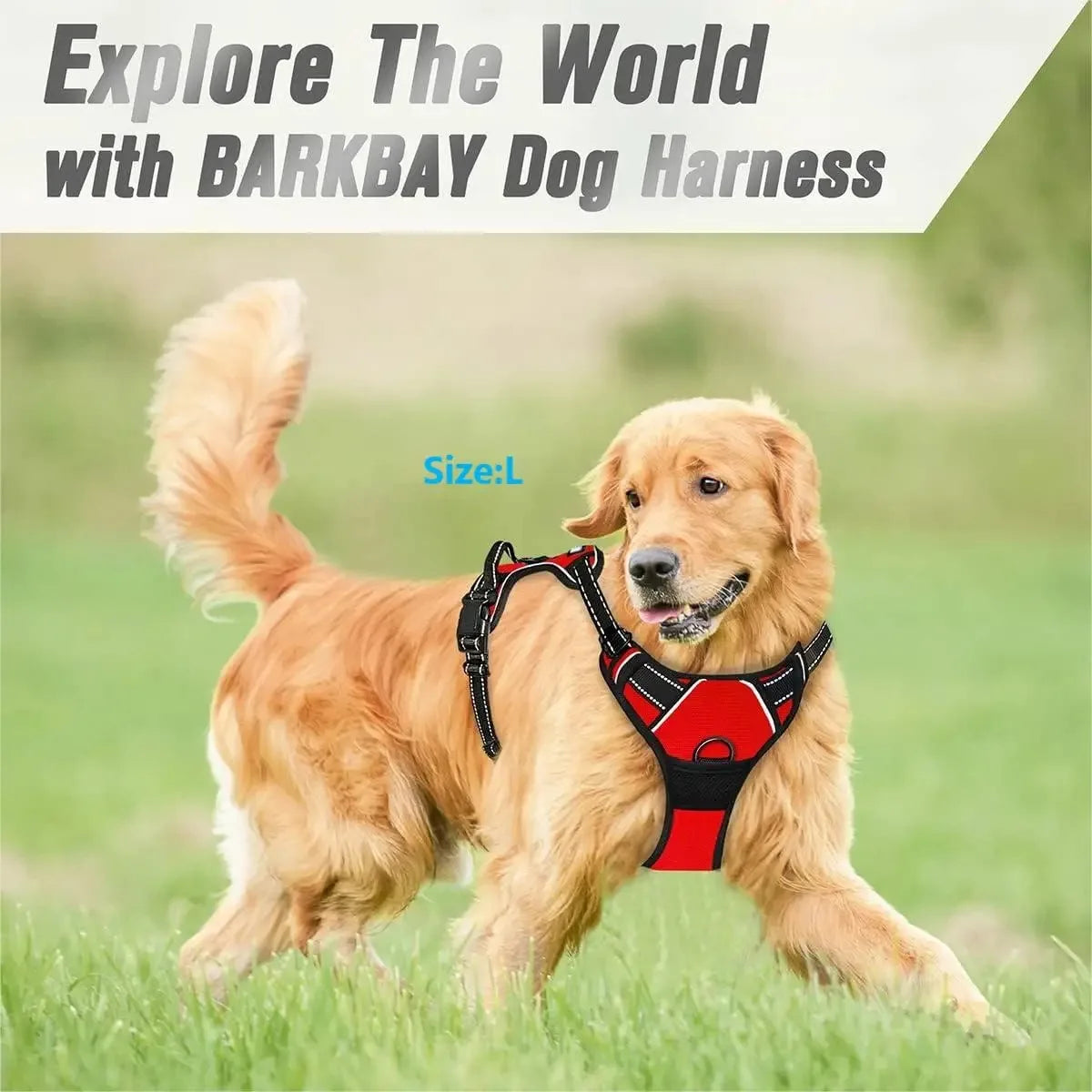 Dog Collars Harness Big Vests