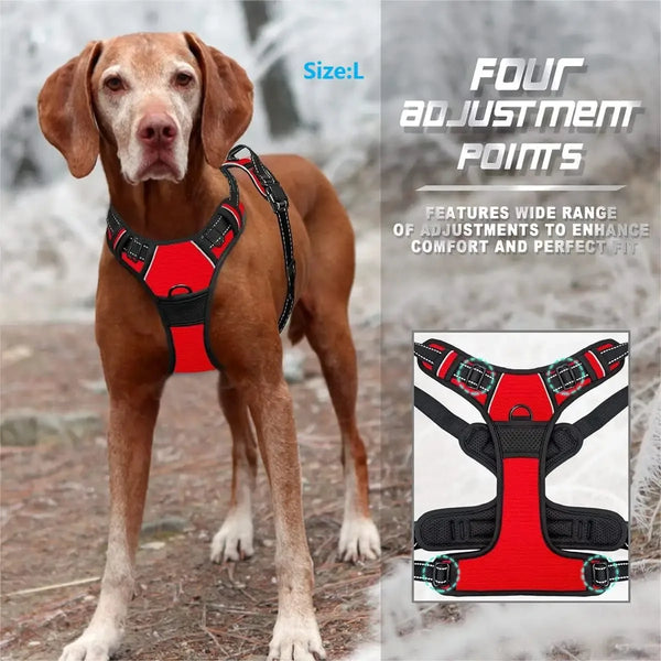 Dog Collars Harness Big Vests